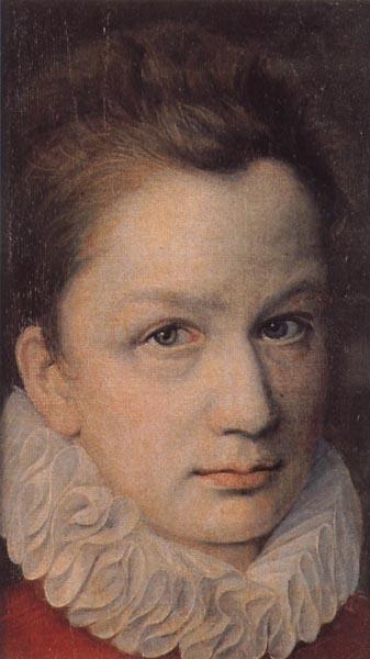 DUMOUSTIER, Pierre Portrait of a Youth oil painting image